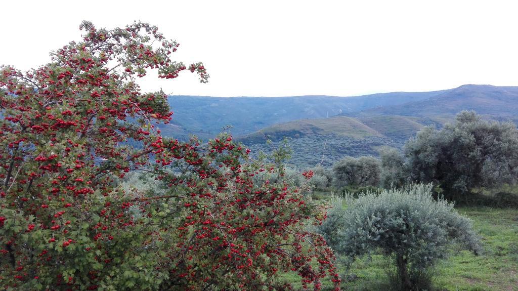 Le Case Di S. Andrea Buccheri Dış mekan fotoğraf