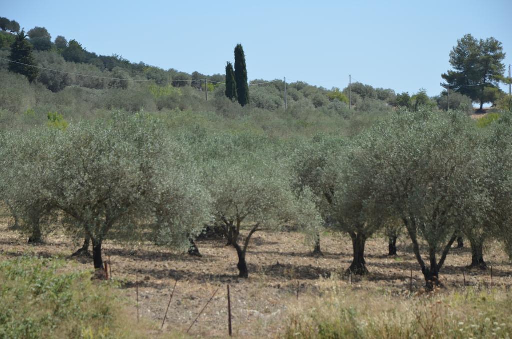 Le Case Di S. Andrea Buccheri Dış mekan fotoğraf